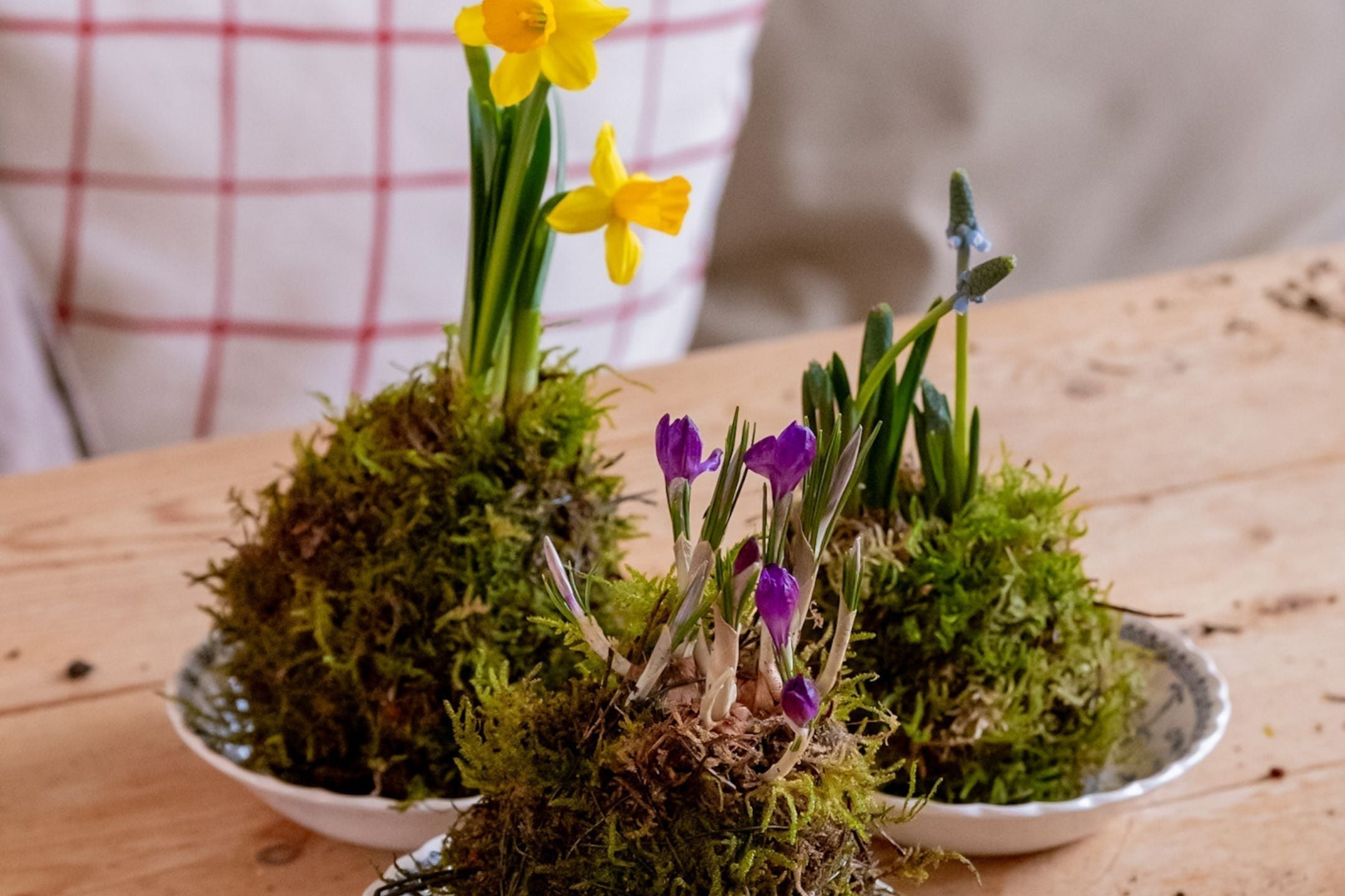 DIY: Maak je eigen kokedama met bloembollen