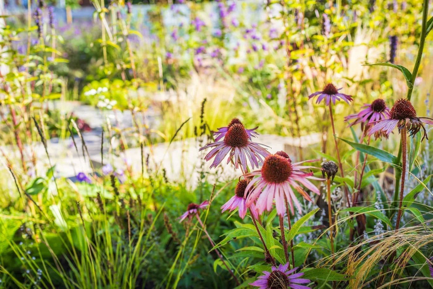 Ecologische balans in de tuin: wat is het en waarom is het belangrijk?