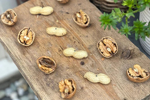 Vogelvoederplank met walnoten maken: DIY voor vogelliefhebbers