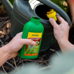 Collection image for: Moestuin