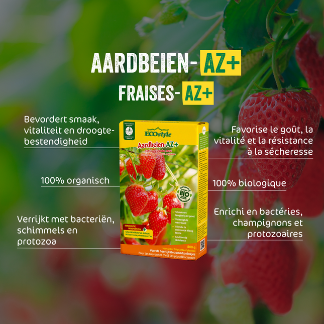 Fraises-AZ+