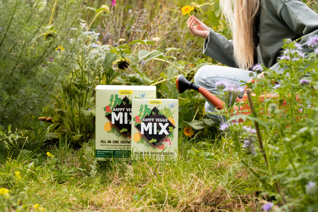Banner image for: Moestuin beginnen? Start met Happy Veggie Mix!