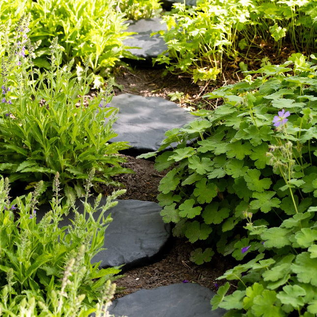 ECO-Bordure Japanse Stapsteen