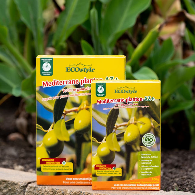 Plantes méditerranéennes-AZ+