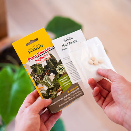 Plant Booster Potplanten