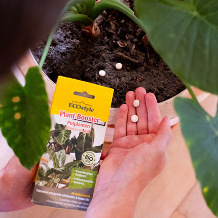 Plant Booster Potplanten