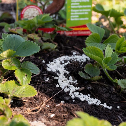 Escar-No Barrière anti-limaces