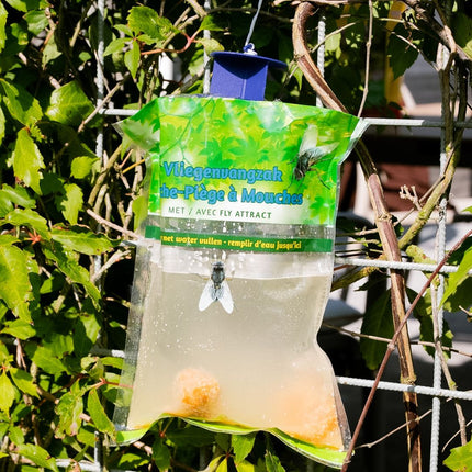 Flyfree Trap Vliegenval