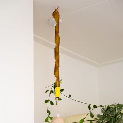 Flyfree piège à mouches spirale