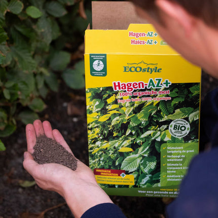 Hagen-AZ+