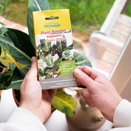 Plant Booster plantes en pot