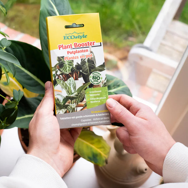 Plant Booster plantes en pot