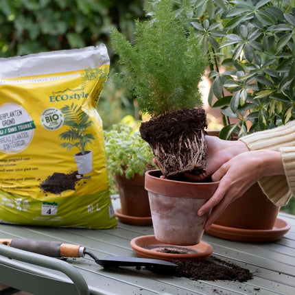 Terreau Plantes d'Intérieur