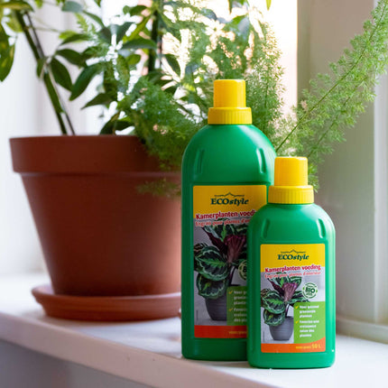 Kamerplanten voeding