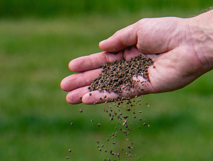 Gazon-AZ+, l'innovation pour fertiliser la pelouse !