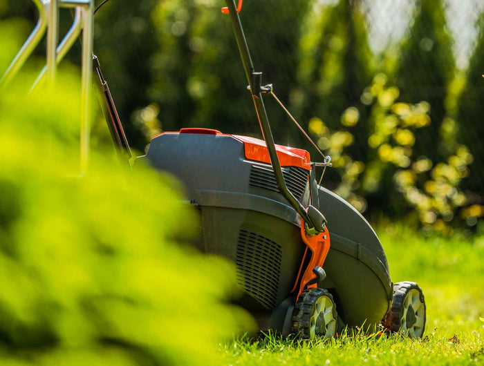 Wanneer gras maaien: hoe vaak en hoe pak je dit aan?