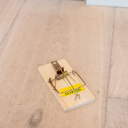 Piège à souris Basic 4-pack