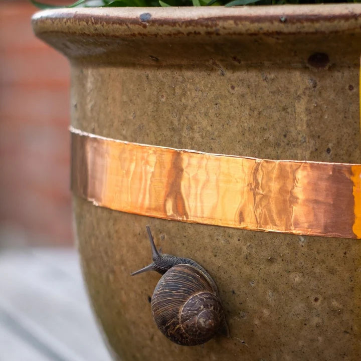 Clôture Anti-Escargots IRKA Type 2 - 25 X 0,05 Cm Alu-Zinc - Longueur 1 M - Bordure Jardin