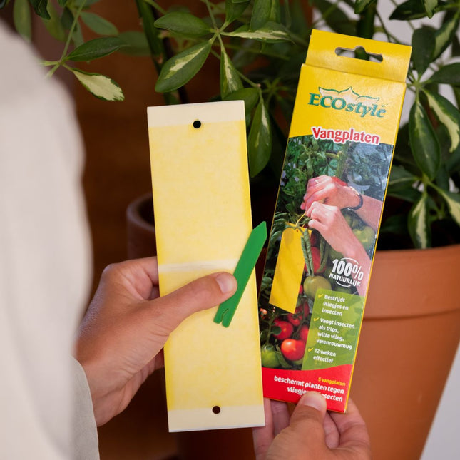 Insectfree Panneaux Englués