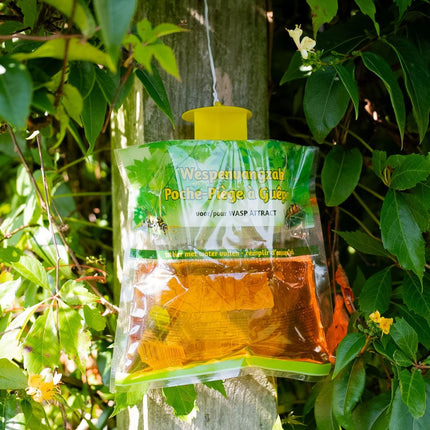 Waspfree Trap wespenval