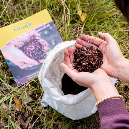 Wormenmix bodemverbetering