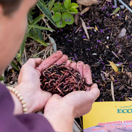 Wormenmix bodemverbetering