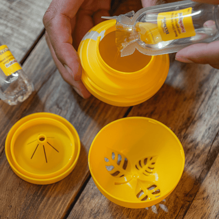 Herbruikbare Kunststof Fruitvliegenval – Compacte Azijnvliegenvanger Zonder Insecticiden, 5,2 Cm Diameter