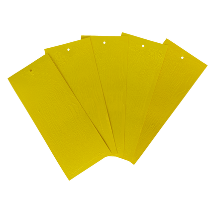 Pièges collants pour la mouche des cerises