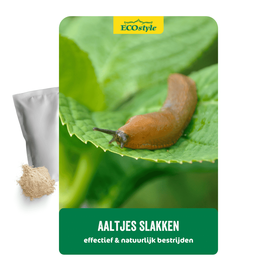 Aaltjes tegen slakken - ECOstyle duurzaam tuinieren – ECOstyle Belgium